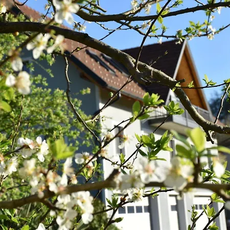 Am Hof Zotter
